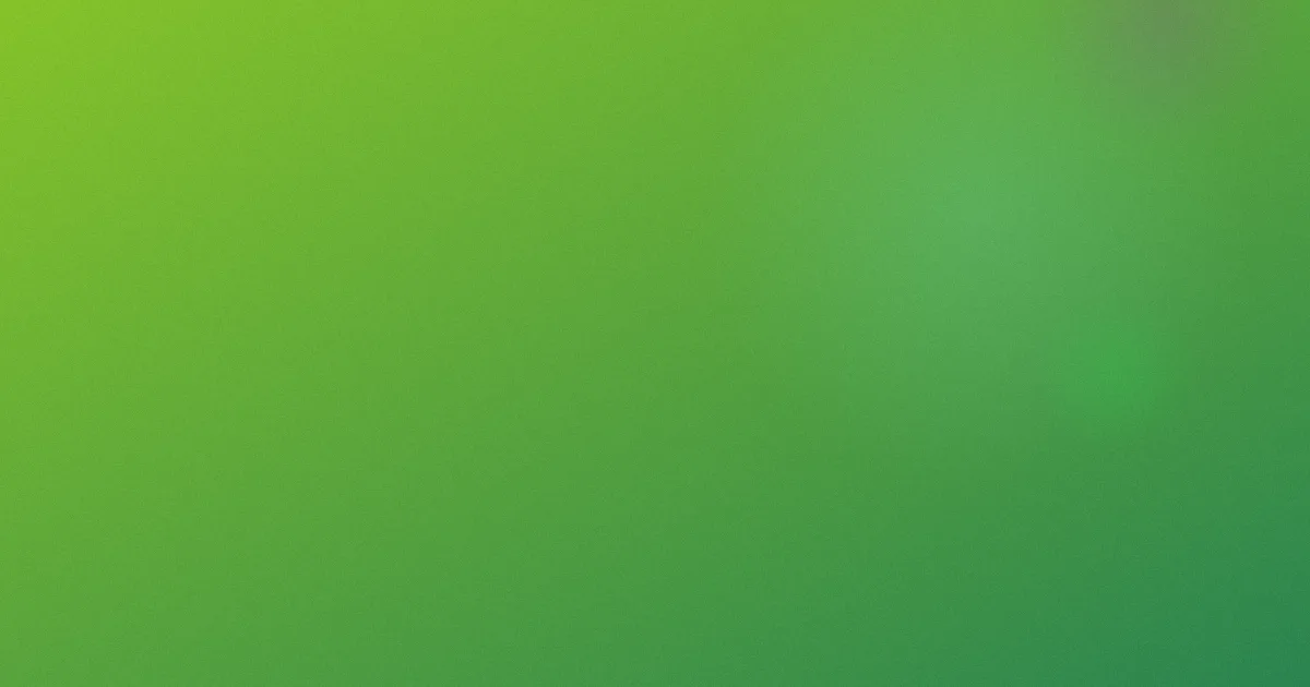 沙鸥推荐：新手观鸟入门